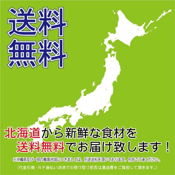 ななつぼし　極　北海道産　令和5年産　20kg　米　お米 送料無料　白米　(5kg×4)　特Ａ産地限定　真空パック対応