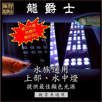 <出清價 售完為止>第三代/增豔誘色/觀賞魚通用/超薄設計/紅龍/金龍/上部燈/側燈/水族燈/安規檢驗合格【龍爵士水族】
