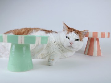 /尊榮高腳盤/ 手捏陶瓷盤