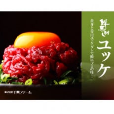 生食肉　鮮馬刺し桜ユッケ10食セット(上天草市)
