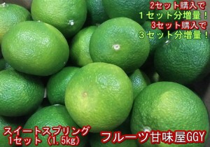 スイートスプリング　訳あり　１セット1.5kg　熊本産　２セット購入で１セットおまけ！３セット購入で3セットおまけ！60サイズ