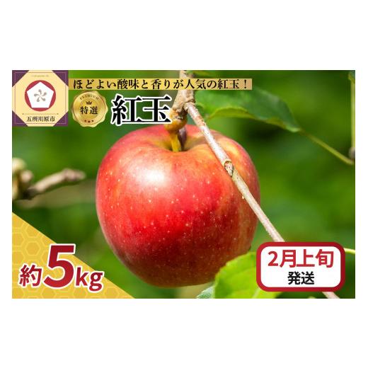 ふるさと納税 青森県 五所川原市  りんご 5kg 紅玉 青森