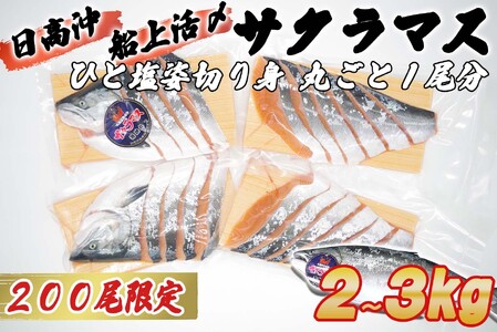 ＜数量限定＞  北海道産 サクラマス ひと塩 姿切り身 2kg ～ 3kg まるごと 1尾