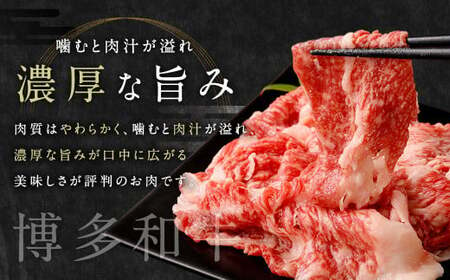 佐賀牛 ＆ 博多和牛 切り落とし 1.2kg (600g×2P) 肉 牛肉 国産 冷凍 バラ 肩