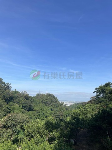 『專』番路北下坑1.5甲大農地（有電，約15分）｜嘉義縣番路鄉下坑