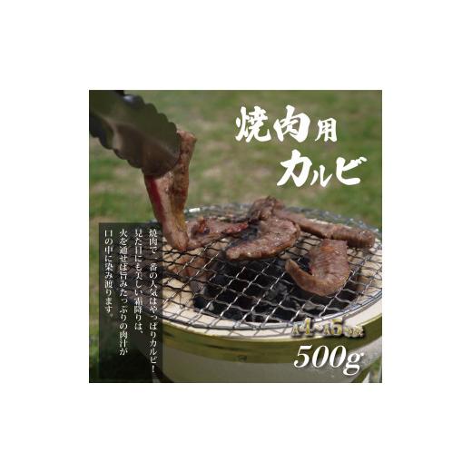 ふるさと納税 熊本県 美里町 熊本県産黒毛和牛　黒華牛　A4〜A5等級　焼肉用カルビ　500ｇ