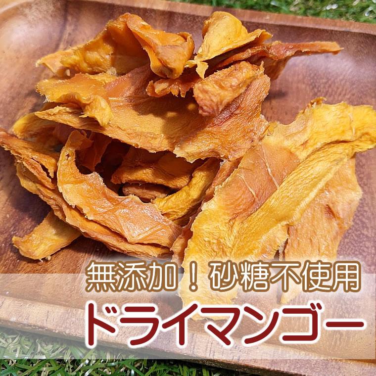 ドライマンゴー 100g ドライフルーツ 保存料不使用 砂糖不使用 マンゴー ドライ 乾燥 無添加 FLB LAB