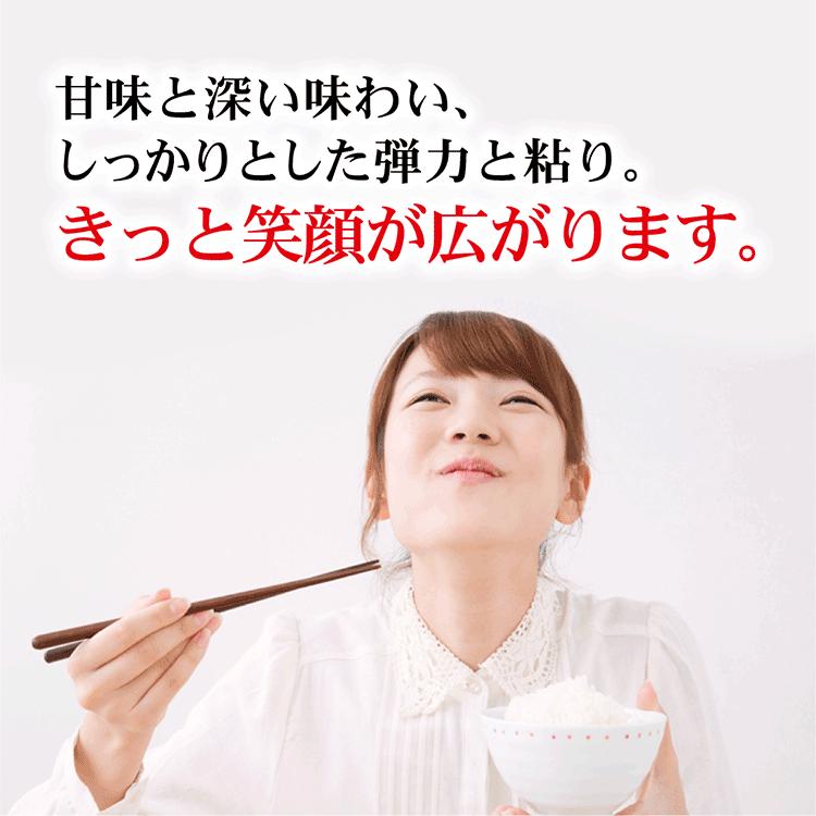 米 令和5年産 新潟産 新之助 5ｋｇ×2(10ｋｇ）真空パック お歳暮 2023