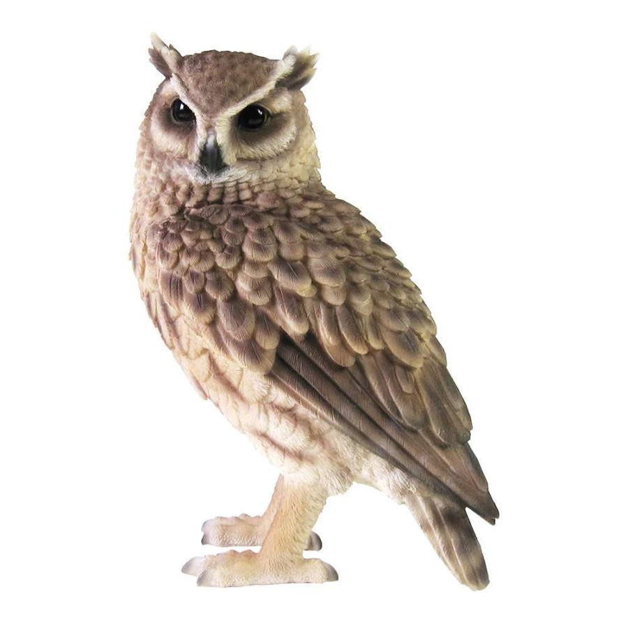 ペットバンク トラフズク PET BANK LONGEARED OWL