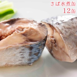 魚 缶詰 魚缶詰 防災 鯖缶 水煮缶 12缶 セット 宝幸 HOKO 日本のさば サバ缶 鯖 サバ さば 水煮 12缶セット