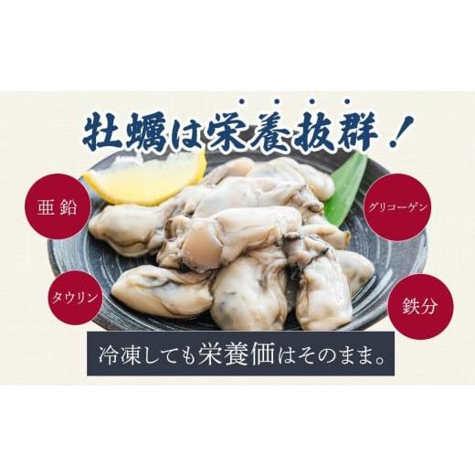 ふるさと納税 兵庫県 相生市  殻付き生牡蠣 6kg