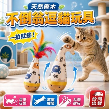 不倒翁玩具 寵物天然櫸木 益智玩具 羽毛逗貓棒 漏斗造型 貓狗通 互動玩具 互動放電 不倒翁設計自嗨解悶 現貨 P21