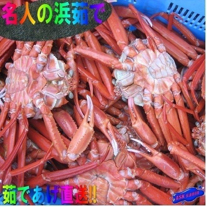 名人の「浜茹で蟹L-5kg」茹で上げ即冷凍．．．お急ぎの方は是非　(紅ずわい蟹)
