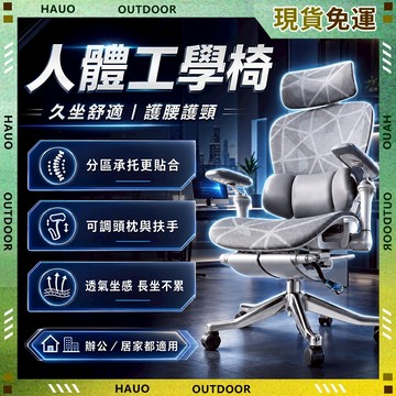 S300 人體工學椅 三區雙翼護腰辦公椅 坐深靠背雙調節 145°可躺 電腦椅 辦公椅 電競椅 躺椅 網面椅