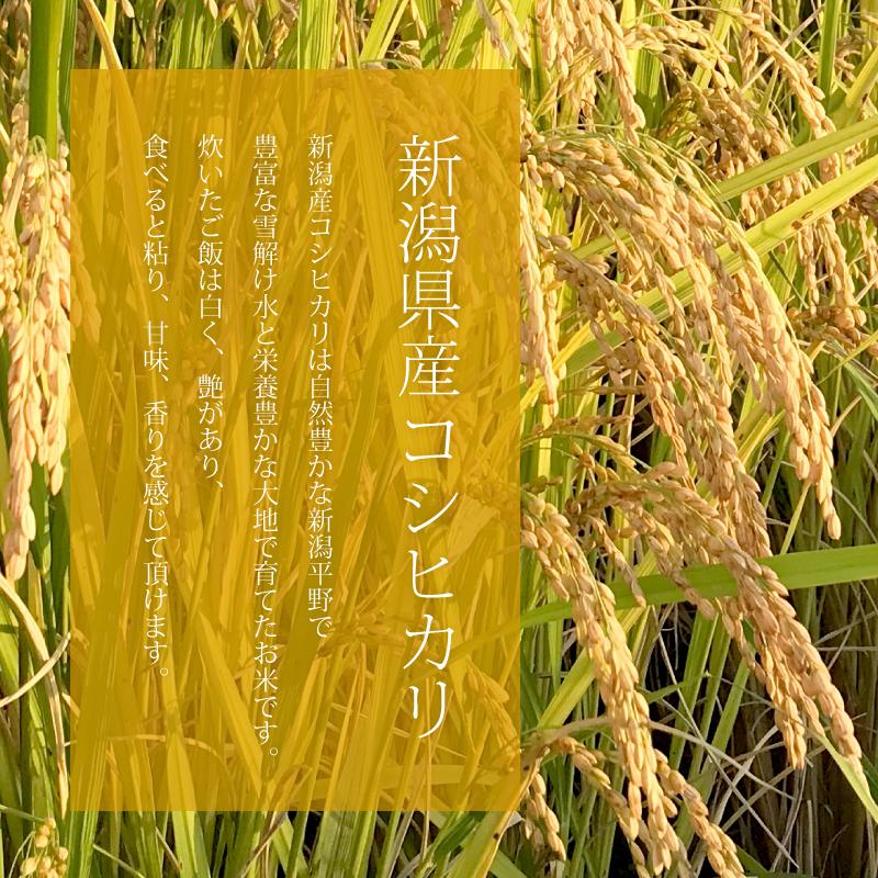 新潟県産コシヒカリ 新米 白米 令和5年産 5kg 精米