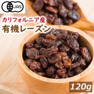 オーガニックレーズン 120g 無添加 れーずん ほしぶどう 干しぶどう ノンオイル 有機レーズン ポイント消化 ドライフルーツ