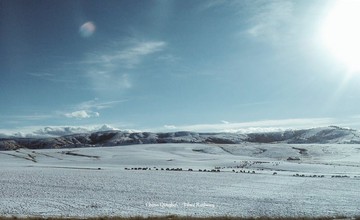 走自己的路 / 詩與遠方-旅途呢喃明信片-07