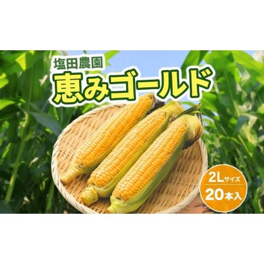 ふるさと納税 北海道 洞爺湖町 北海道産 とうもろこし 恵味 ゴールド 2L 20本 朝採り めぐみ イエロー トウモロコシ 玉蜀黍 スイートコーン とうきび 大きめ …