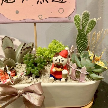 聖誕甜甜圈 貓 台中多肉組盆 多肉植物 聖誕禮物 耶誕 日本decole