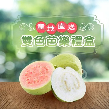 【初品果】產地直送雙色蜜芭樂禮盒5斤6-10顆x2盒