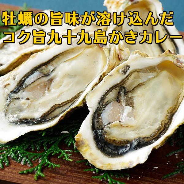 長崎・佐世保名産 九十九島かきカレー 200g 牡蠣 かき カキ グルメ