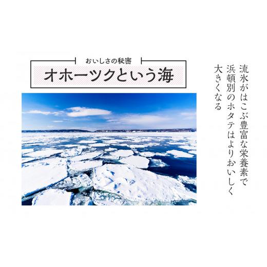 ふるさと納税 北海道 浜頓別町 ほたて 貝柱 大粒 冷凍 500ｇ(20〜25粒前後)×3パック お取り寄せ 刺身  《横田水産》