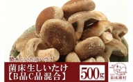 ご家庭用 菌床生しいたけ（B品C品混合） 500g 椎茸