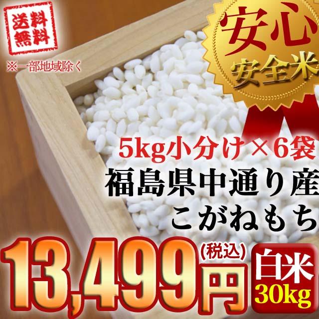 もち米 新米 お米 令和5年産 福島県中通り産こがねもち白米30kg(5kg×6個) ※沖縄県・離島対応不可