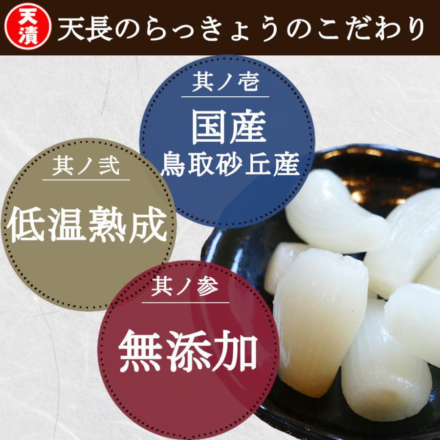 らっきょう 国産 ピリ辛 190gx3袋 鳥取 ふぞろい 無添加 低温熟成 国産 ラッキョウ漬け 甘酢漬け らっきょう 送料無料