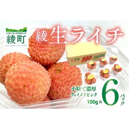 ふるさと納税 希少 生ライチ お裾分け セット 6パック 先行受付 （14-75） 宮崎県綾町