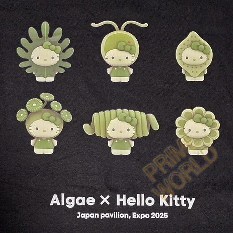 Mサイズ/黒】サンリオ ハローキティ Tシャツ(6types) 藻類キティ