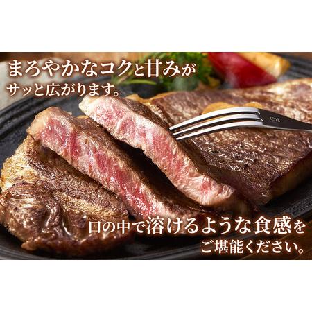 ふるさと納税 [3ヶ月定期便][A5等級]飛騨牛サーロインステーキ用 600g(300g×2枚) [0341] 岐阜県本巣市