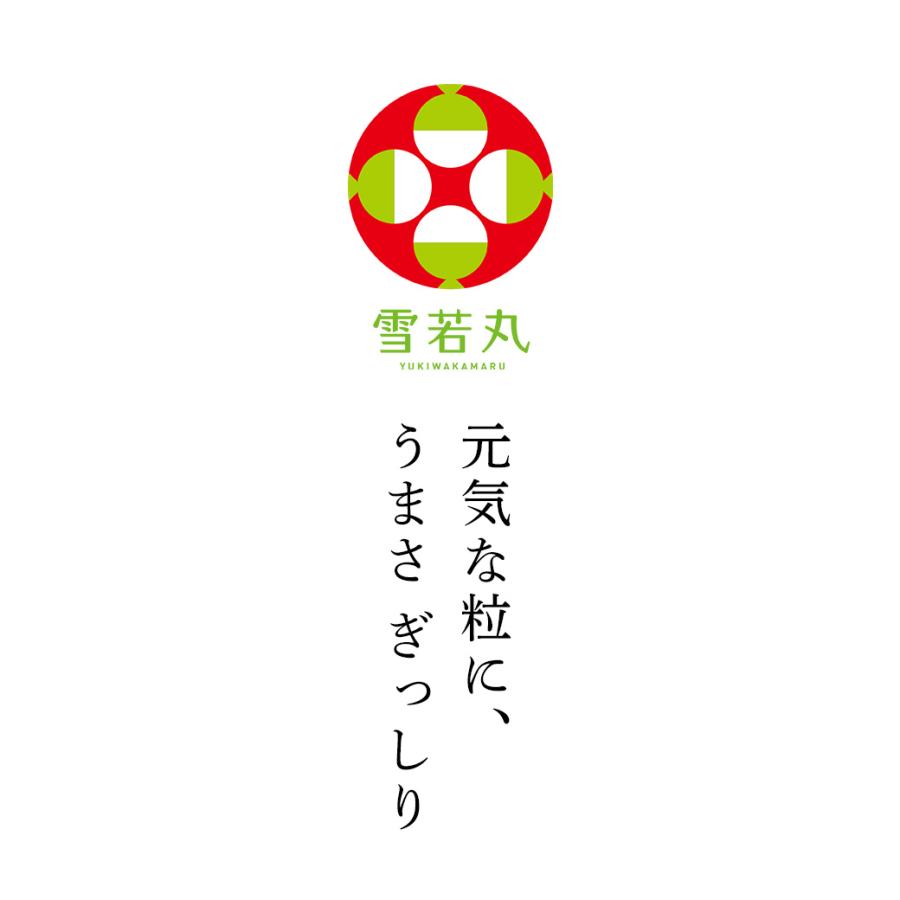 新米 10kg 雪若丸 お米 山形県 庄内 置賜 ゆきわかまる 送料無料 令和5年産 白米 精米 10キロ