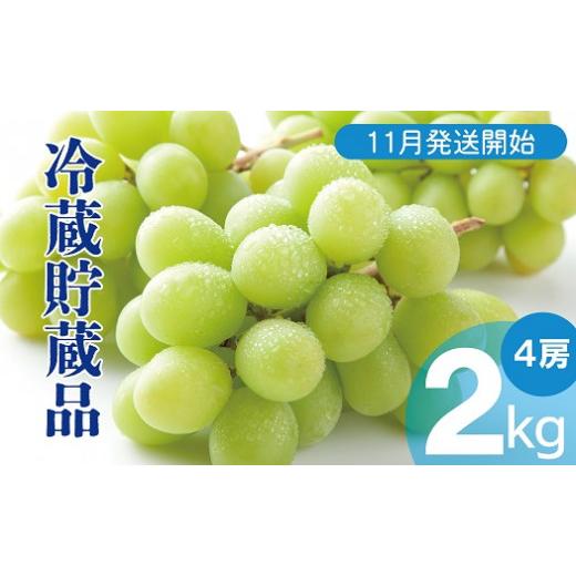 ふるさと納税 長野県 中野市 長野県中野市産 シャインマスカット 4房 2kg以上