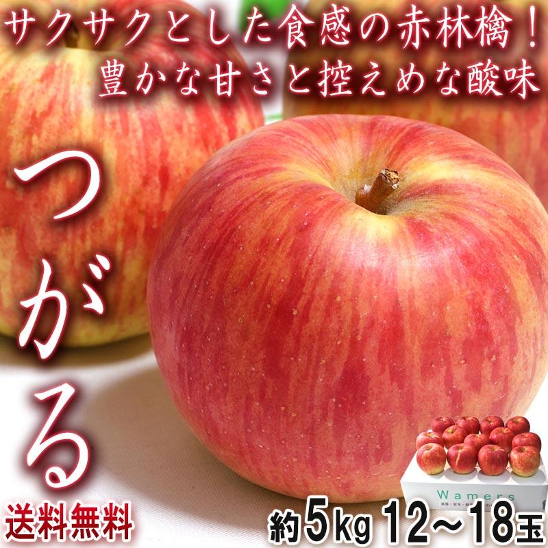 つがる 赤りんご 訳あり 約5kg 12〜18玉 青森・山形県産 酸味が少ない人気の赤林檎！抜群の美味しさをお届け