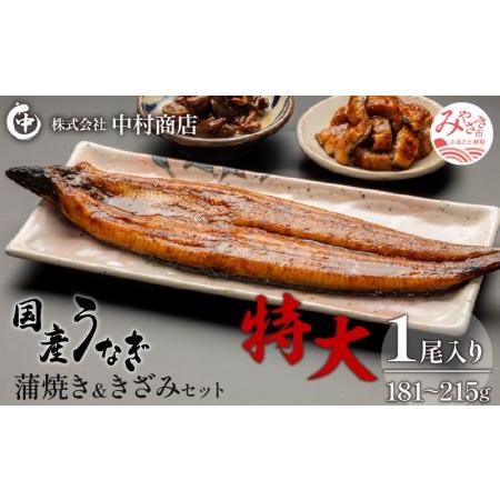 ふるさと納税 国産うなぎ蒲焼き特大サイズ(181〜215g)・蒲焼きざみセット 宮崎県宮崎市