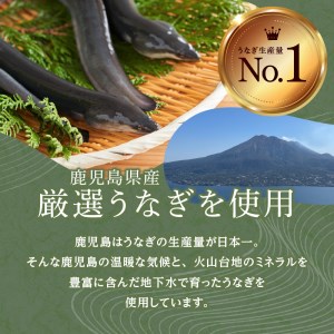 「うなぎ処　さいしょ」うなぎの蒲焼セット 4切×2　K030-002 薩摩 さつま 大人気うなぎ 人気うなぎ 鹿児島産うなぎ 鹿児島県産うなぎ 大人気ウナギ 人気ウナギ 鹿児島産ウナギ 鹿児島県産ウナギ 大人気鰻 人気鰻 鹿児島産鰻 鹿児島県産鰻 鰻丼 うな丼 蒲焼 蒲焼き かば焼き 土用 丑の日 土用の丑の日 国産 国内産 日本産 スタミナ ひつまぶし 炭火焼