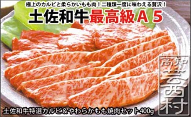 　土佐和牛特選カルビ＆やわらかもも焼肉セット400g 牛肉＜高知市共通返礼品＞