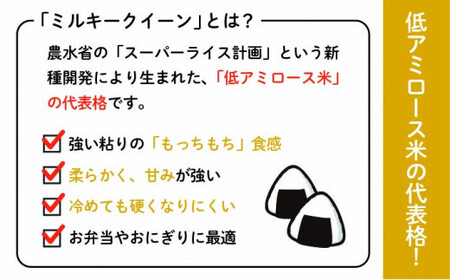  ミルキークイーン 10kg （ 5kg × 2袋 ） 糸島   玄米・精米専門店 新飼宗一郎商店 米 白米 玄米[ADE006]