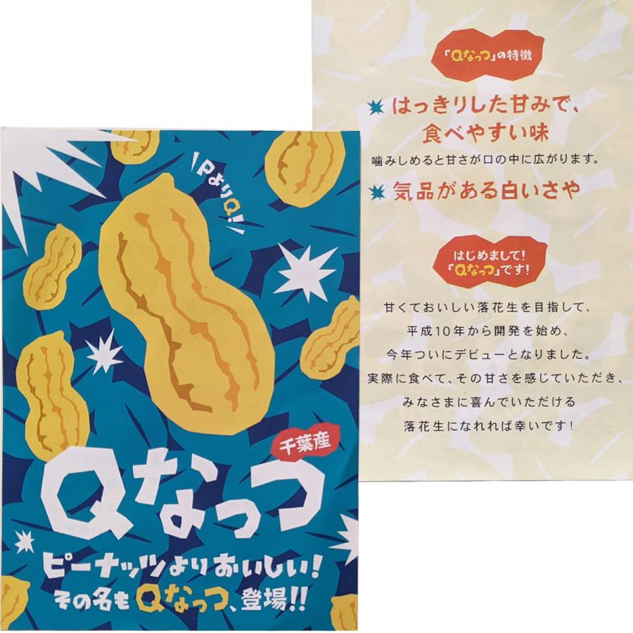 2023年度産 新豆 千葉県産落花生 煎ざや Ｑなっつ 200g