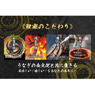 ふるさと納税 鹿屋市 鯉家の蒲焼「大トロうなぎ蒲焼(2尾)」1661-1