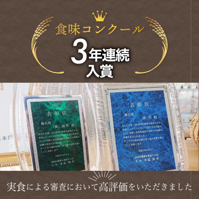 玄米 新潟県産 コシヒカリ 特別栽培米 2kg 令和5年産 新米 こしひかり 2キロ 農家直送 減農薬