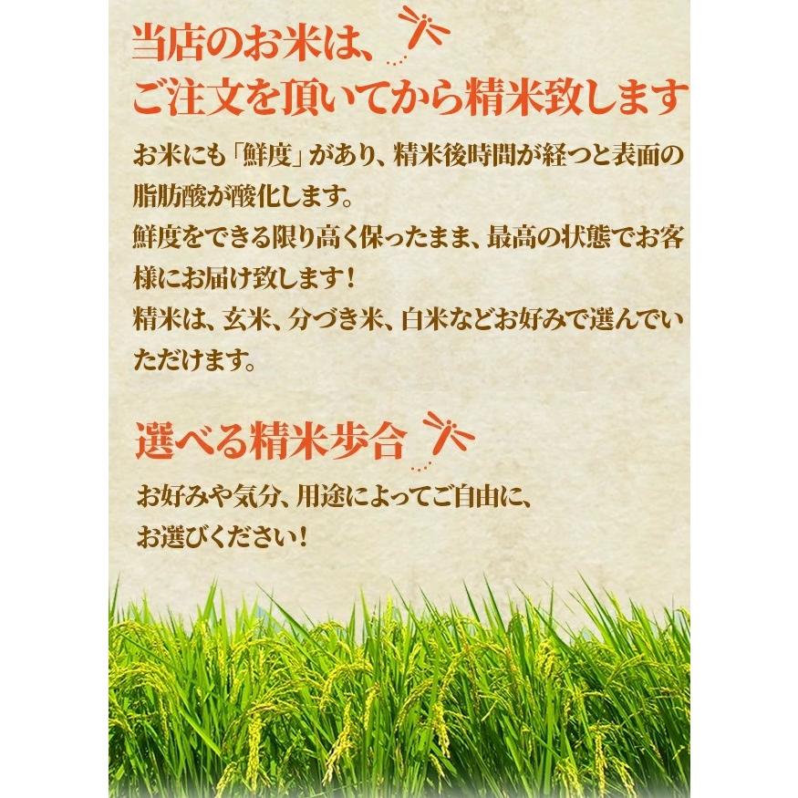 12 7エントリーで 4％    富山県産 てんたかく 玄米 15kg 贈り物 米 コメ こめ お米 おこめ