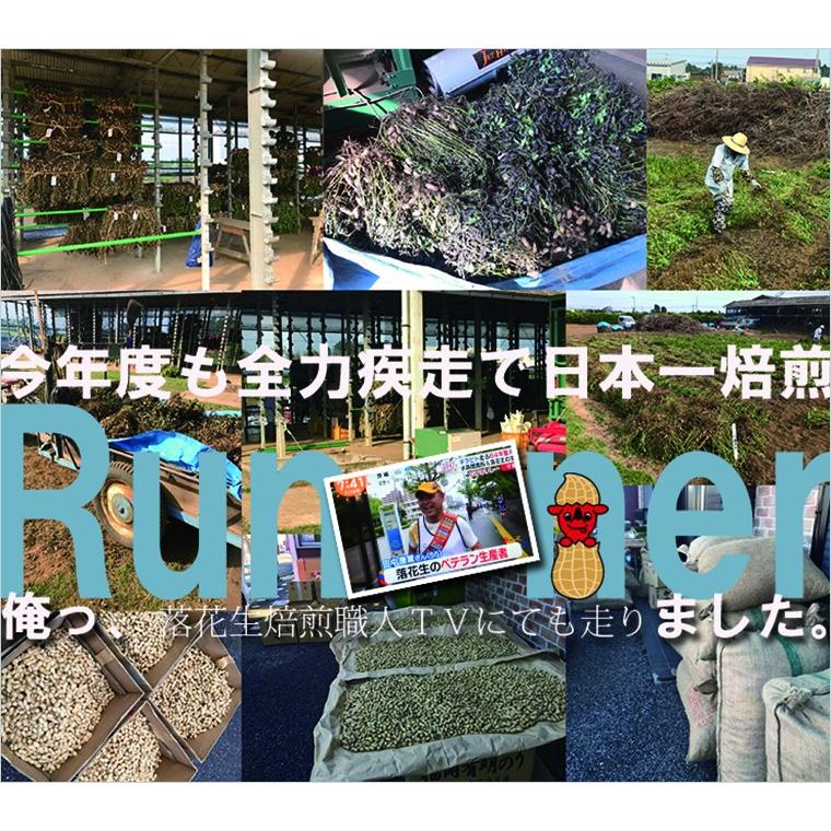 新豆 令和5年度産 半立 国産 殻付き落花生 千葉県産 八街産 500g ピーナッツ