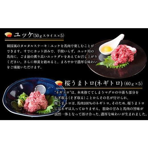 ふるさと納税 熊本県 御船町 厳選プレミアムスライス馬刺しセット 1kg 千興ファーム 馬肉 冷凍 《60日以内に順次出荷（土日祝除く）》 新鮮 さばきたて 真空パ…