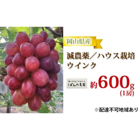 ふるさと納税 ぶどう 2024年 先行予約 ウインク 1房 約600g  減農薬／ハウス栽培 ブドウ 葡萄  岡山県産 国産 フルーツ 果物 ギフト ばんの農園 岡山県里庄町