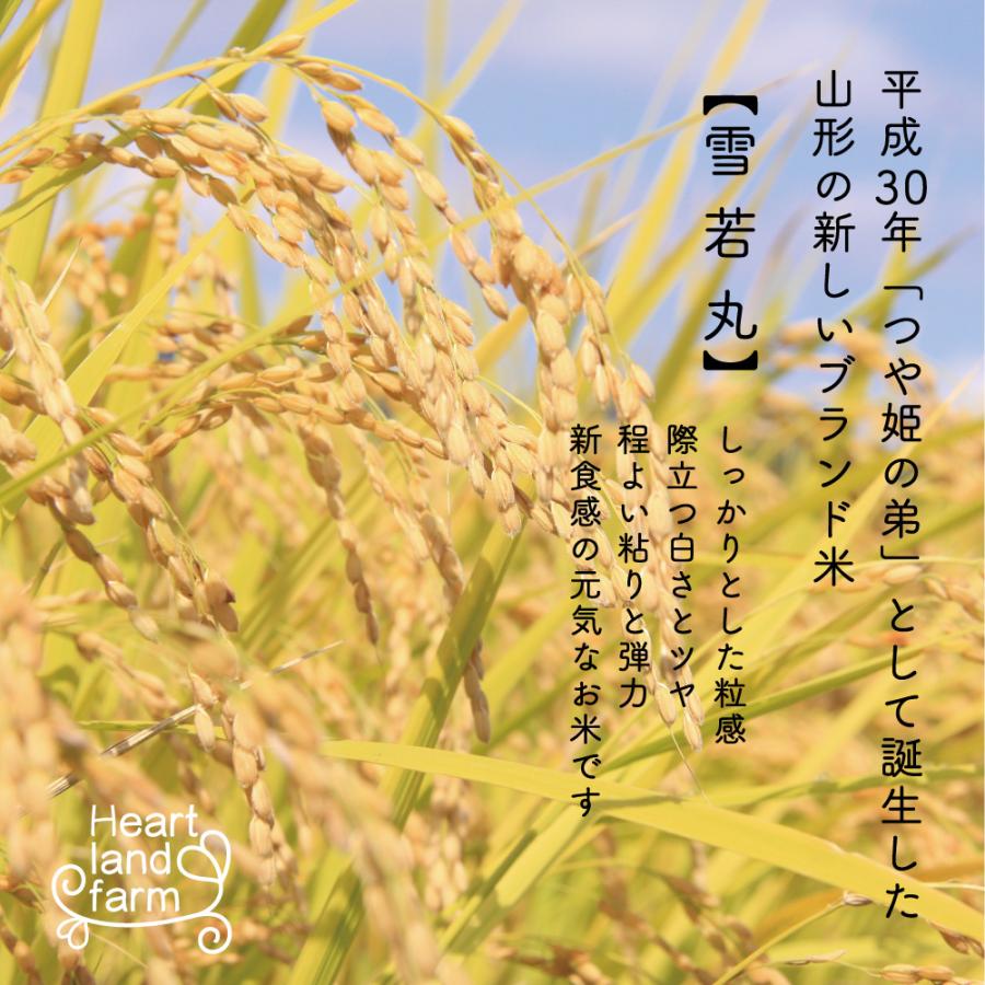 お米 ギフトセット 令和5年産 山形県産 つや姫・雪若丸 食べ比べ 4kg （2kg×2袋） お中元 お歳暮 内祝い 贈り物 のし 名入れ無料 送料無料（一部地域を除く）