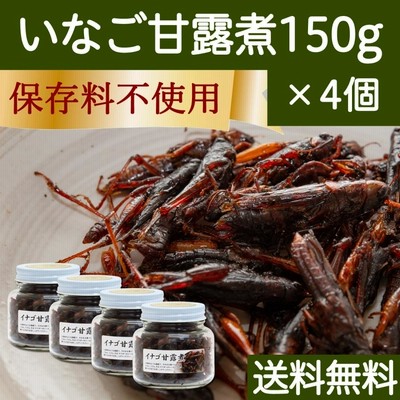 イナゴの佃煮 150g×4個 いなご 甘露煮 珍味 昆虫食 小えび 食感 送料無料