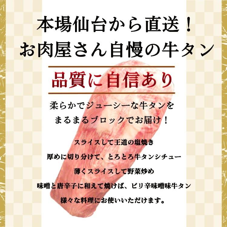 牛タン ブロック 牛たん 仙台 3kg 大容量 たっぷり 送料無料 (タン先あり) キャンプ 焼肉 自宅