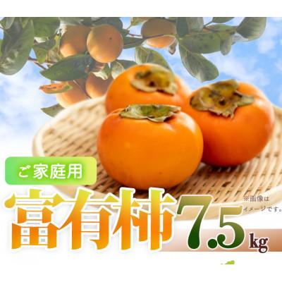 ふるさと納税 由良町 和歌山秋の味覚　富有柿　約7.5kg